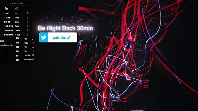 PalmLora1 webcam