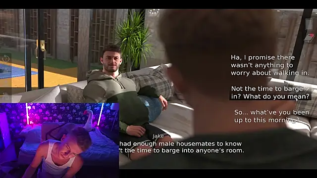 Vuitton webcam