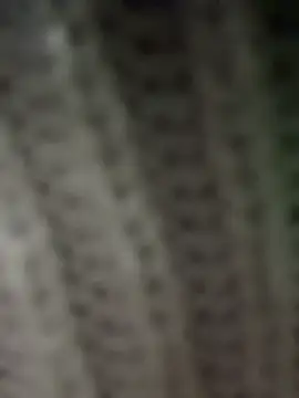 Vela_Carter webcam