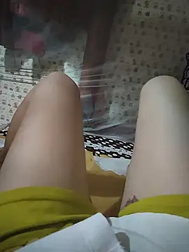 -Tara-a webcam