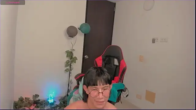 odelei webcam
