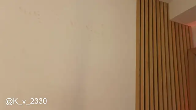 sofiesoft webcam