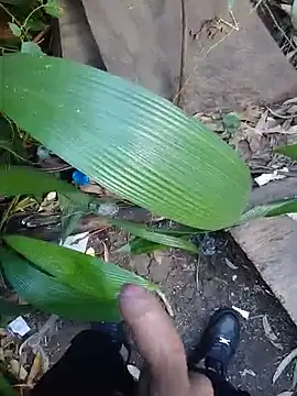 MrStreetGuy webcam