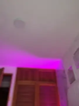 nicolette_sweet_
