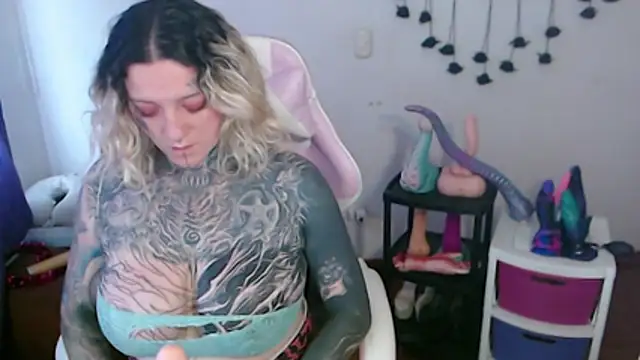 SLOPPYTITSS webcam