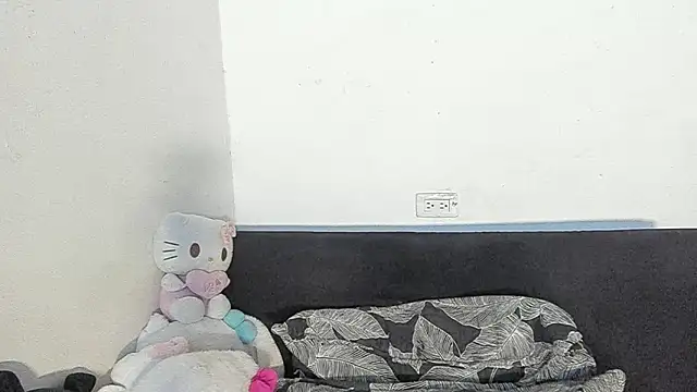 Eirlysx webcam