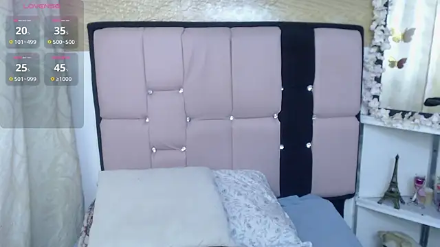palmer_mIix webcam