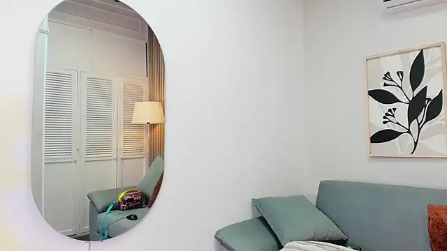 KassMonroe webcam