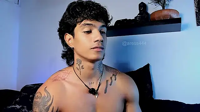 aress_damon webcam