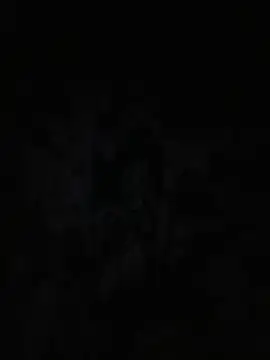MH_Shuvo_Prince webcam