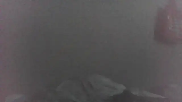 cobrosdepagos webcam