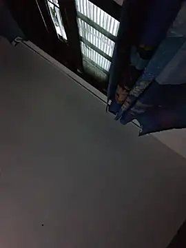 vidmaka webcam