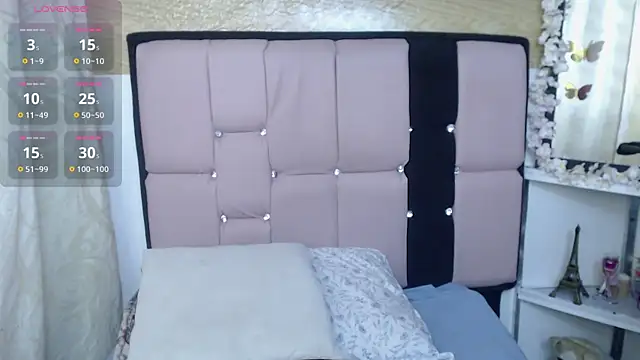 palmer_mIix webcam
