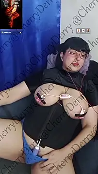 CherryDerry webcam