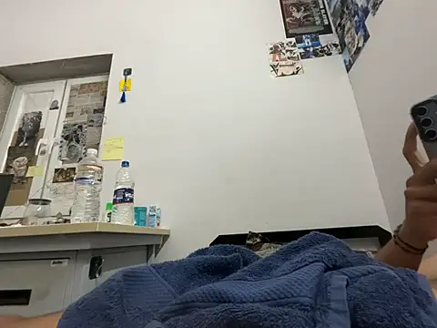 zenithzoro webcam