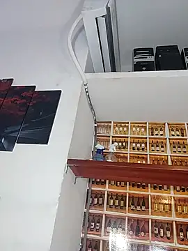 _Shirley_ webcam