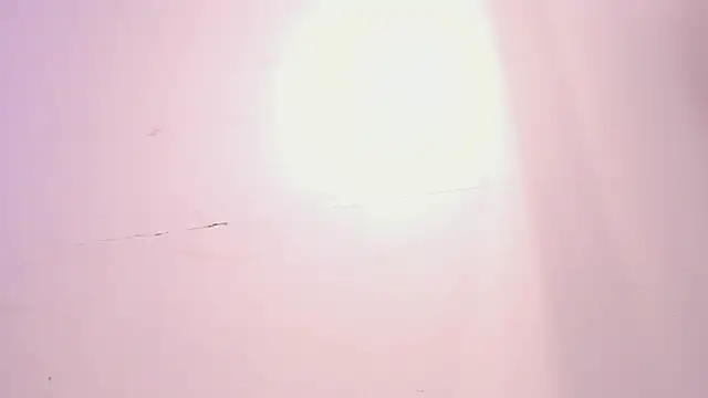 susan_beck webcam