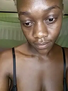 Paulahaze webcam