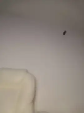 amara_huxly webcam
