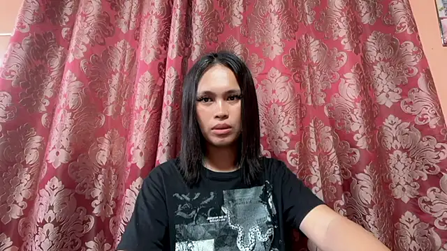 Templar_yokada webcam