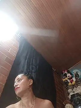 Alexandrina webcam