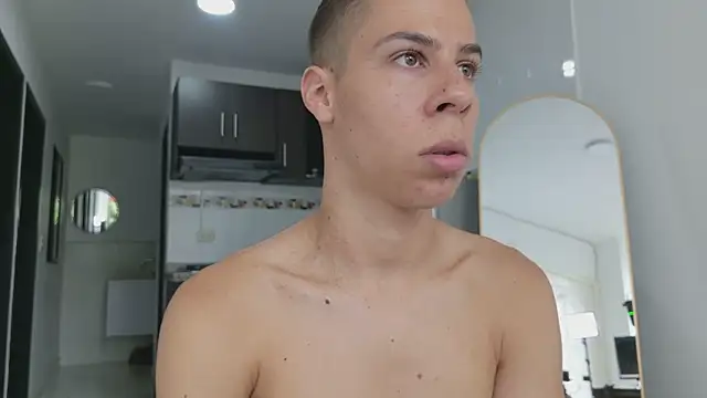 grey___27 webcam