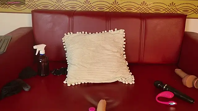 vivi_ruby webcam