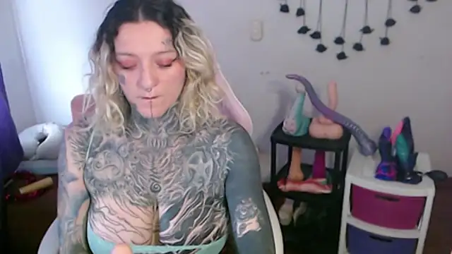 SLOPPYTITSS webcam