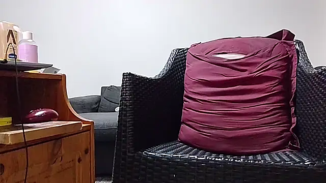 Tyyson03 webcam
