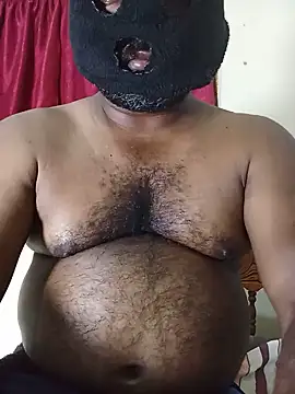 Hiptonos webcam