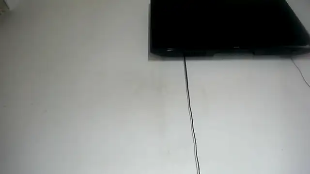 Fox_Loves webcam