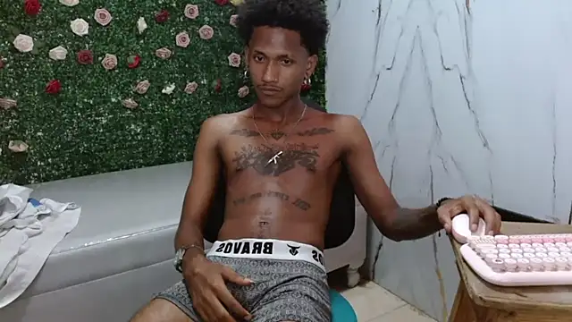 ManSant webcam
