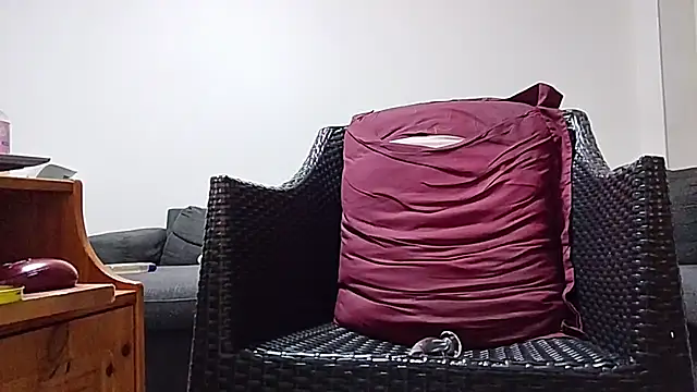 Tyyson03 webcam
