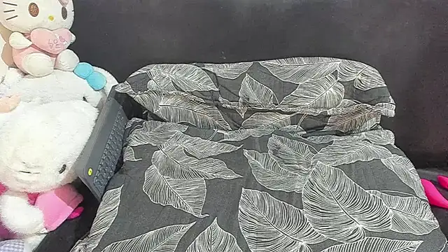 Eirlysx webcam