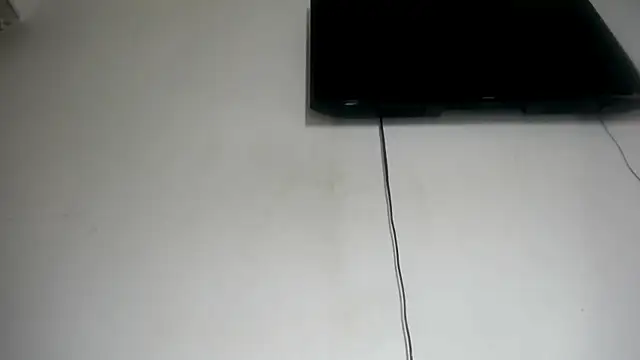 Fox_Loves webcam