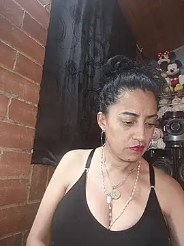 Alexandrina webcam