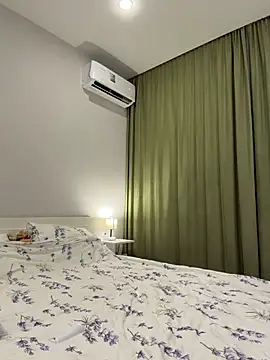 HermanFire webcam
