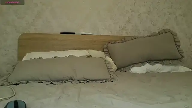 HiddenPearl webcam