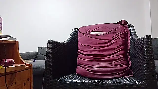 Tyyson03 webcam