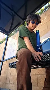 ZeldaSneakyLink webcam