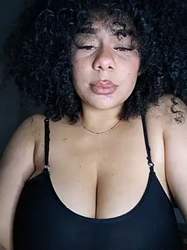 Yerystar webcam