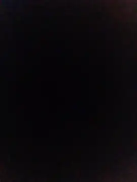 pussy_muncha live cam on StripChat
