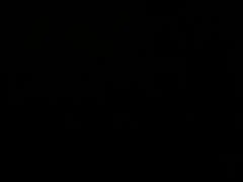 bellaxlauren webcam