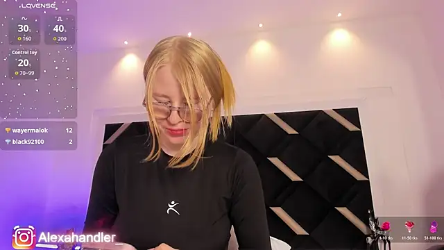 Alexa_Handler webcam