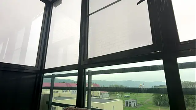 LinZavr webcam