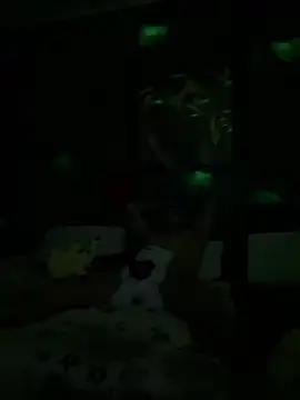 Mohdollmen webcam