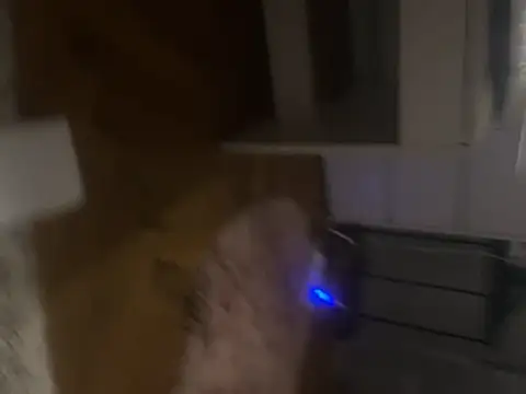 mutualboy webcam