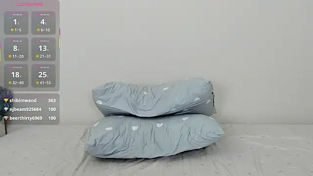 Kiraeko webcam