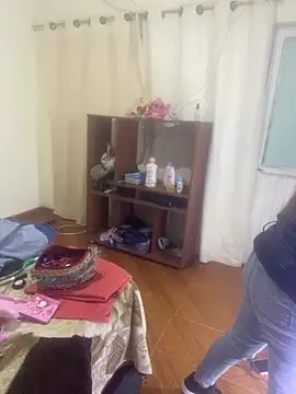 sofia-GS webcam
