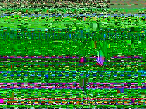 geld_88 webcam